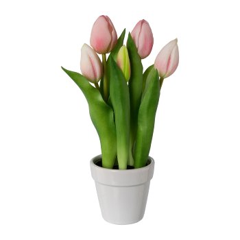 Tulips In Ceramic Pot x 5, 25 cm, Pink