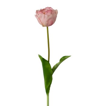 Stuffed Tulip, 58cm, Pink