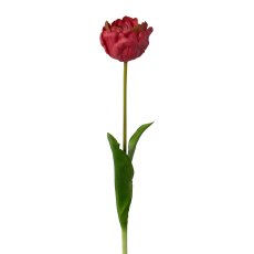 Gefüllte Tulpe, 58cm, pink