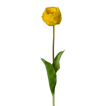 Filled Tulip, 58cm, Yellow