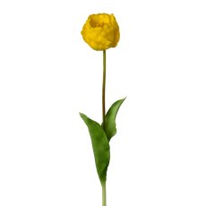 Gefüllte Tulpe, 58cm, gelb