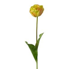 Gefüllte Tulpe, 58cm, hellgelb