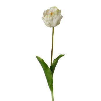 Stuffed Tulip, 58cm, White