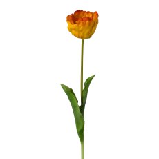 Gefüllte Tulpe, 58cm, orange