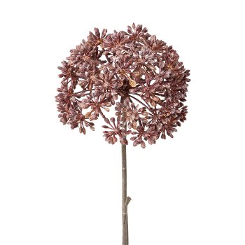 Angelica geeist, 43cm, bordeaux