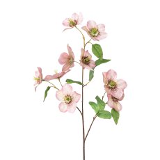 Christmas Rose Branch, 60cm, Pink