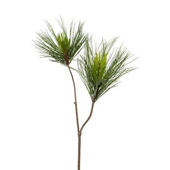 Schwarzkiefernzweig x 2, 76cm