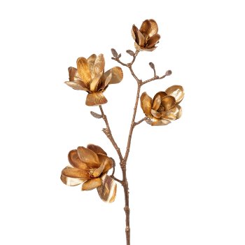 Magnolie x4, 85cm, altgold