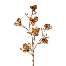 Magnolia x7, 104cm, old gold