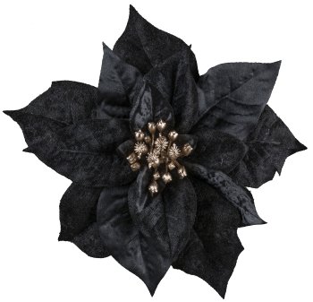 Velvet Poinsetienblüte mit Clip, 18cm, schwarz