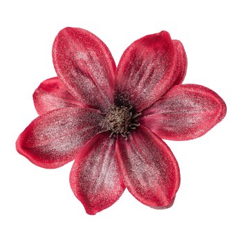 Magnolia Blossom with Clip Iced, 16cm, Bordeaux