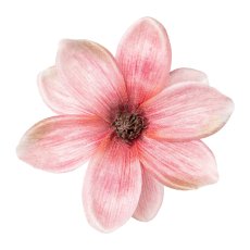 Magnolia Blossom with Clip Iced, 16cm, Pink