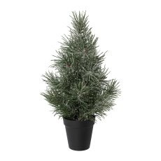 Pines In Pot, Iced, 40 cm,