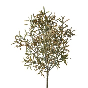 Rosemary Bush x 5, 34cm Green-Mix