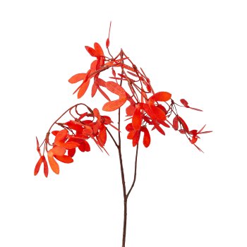 Maple branch, 63cm, coral