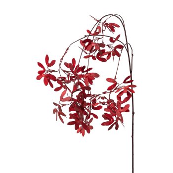 Maple branch, 115cm, dark red