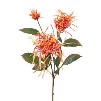 Dahlia, 68cm, orange