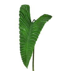 Taro Leaf 1/Poly, 107cm, Green