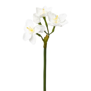 Daffodil branch, 40cm, white