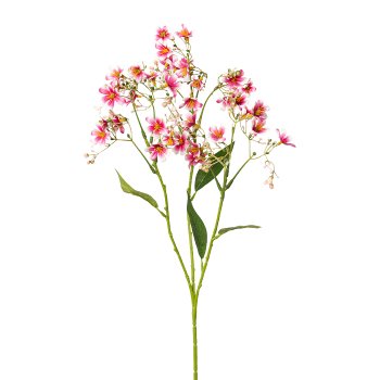 Summer Veilweed 1/Poly, 72cm, Pink