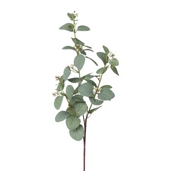 Eucalyptus branch, x3, 72cm, green