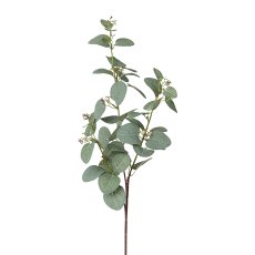 Eucalyptus Branch x 3, 72 cm,