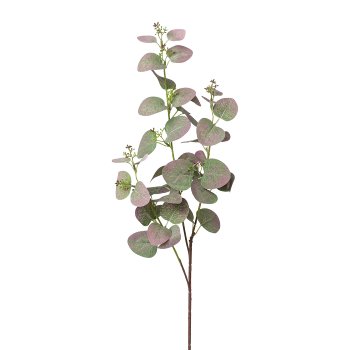 Eucalyptus branch, x3, 72cm, green-purple