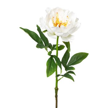 Peony, 51cm, White Peonie, 51 cm, white