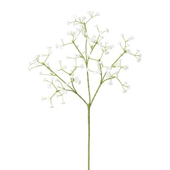 Gypsophila 6/pcs, 61cm, 6/pcs, white