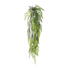 Fern Hanging Bush x 50, 114 cm