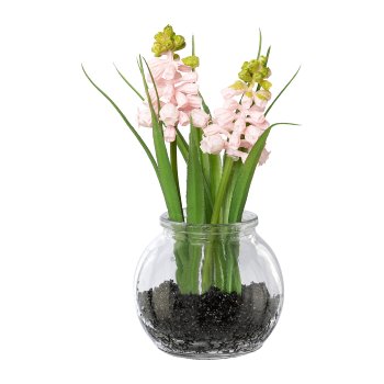 Muscari with Grass In Glass, 15cm, Pink