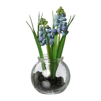 Muscari with grass in glass, 15cm, blue