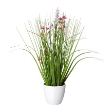 Flower-Grass Mixture In A