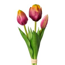 Tulip Bunchx 3, 20,5 cm,