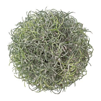 Grass ball, 4/pet box, 8cm, grey-green, 4/pcs