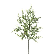 Wacholder-Zweig, 60cm, grün