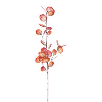 Eucalyptus branch, 84cm, coral