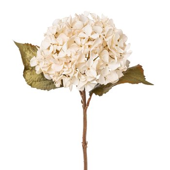 Hydrangea, 46cm, beige