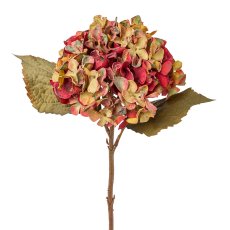 hydrangea, 46cm, coloured