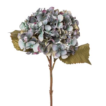 Hortensie, 46cm, blau