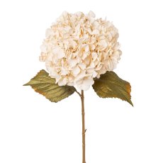 hydrangea, 65 cm, beige