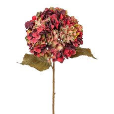 Hydrangea, 65cm, coloured