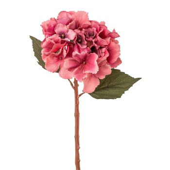 Mini-Hortensie, 33cm, fuchsia