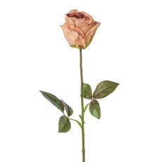 Rose, 46cm, altrosa