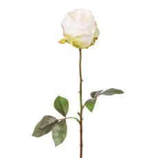 Rose, 46cm, weiß