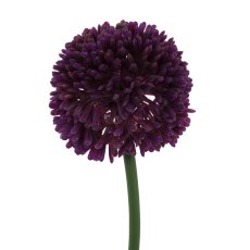 Allium 6/bundle, 44cm, purple