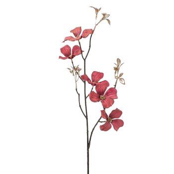 Coruszweig, 71cm, bordeaux