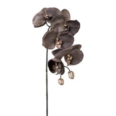 Phalaenopsis, 66cm, anthrazit