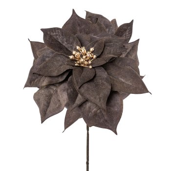 Poinsettie, 56cm, anthrazit