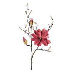 Magnolia, 86 cm, bordeaux